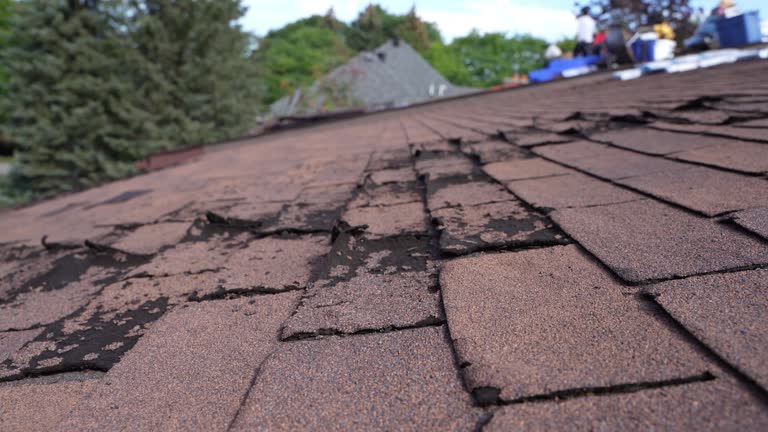 Best Storm Damage Roof Repair  in West Babylon, NY